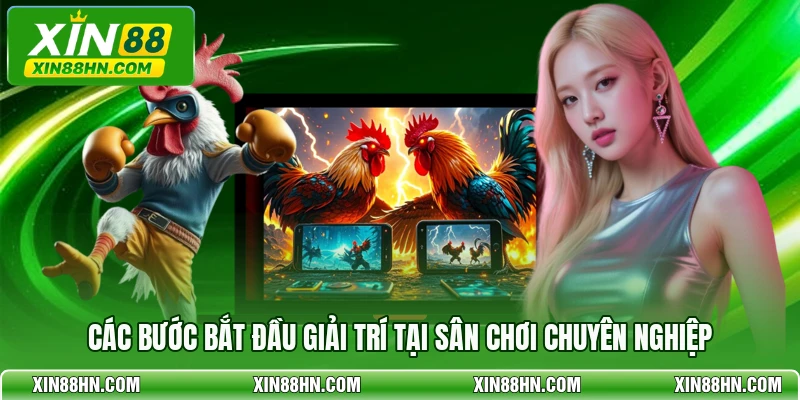 Các bước bắt đầu giải trí tại sân chơi chuyên nghiệp