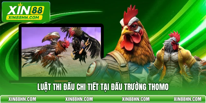 Luật thi đấu chi tiết tại đấu trường Thomo