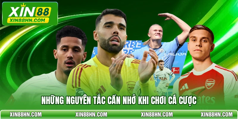 Những nguyên tắc cần nhớ khi chơi cá cược
