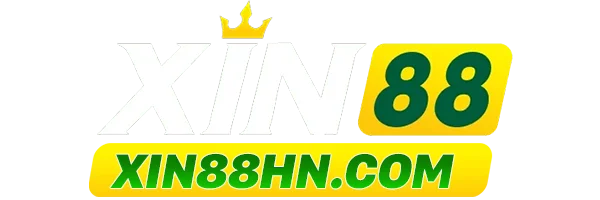 xin88